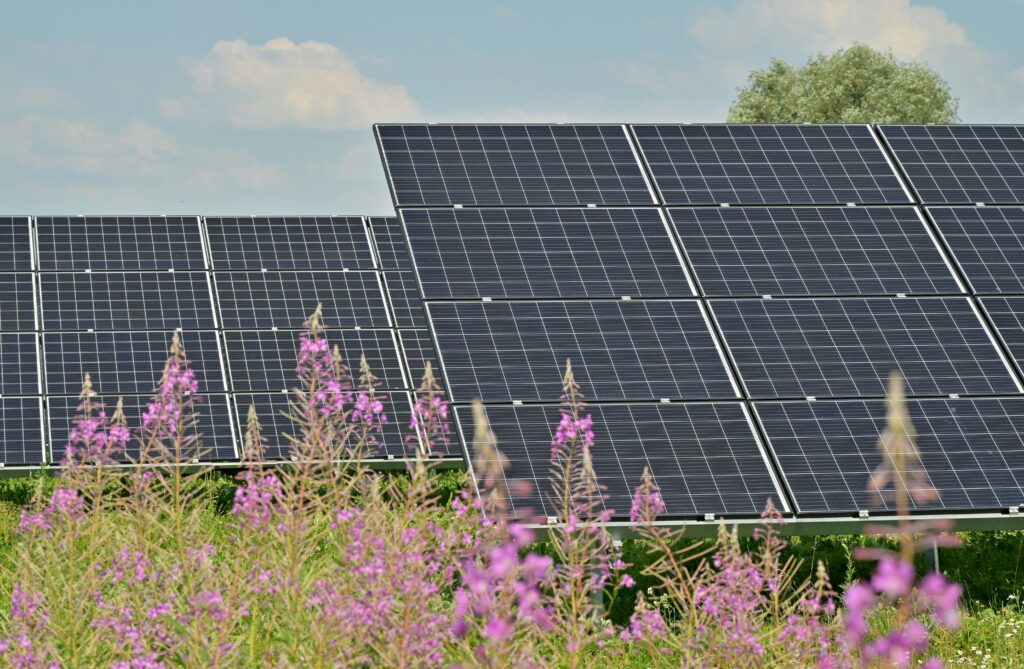 Photovoltaik im Kleingarten